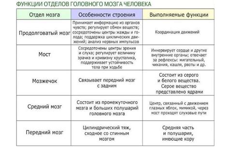 Смежные отделы: определение, функции, особенности