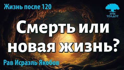 Смерть или новая жизнь? Расшифровываем значение снов о беременности