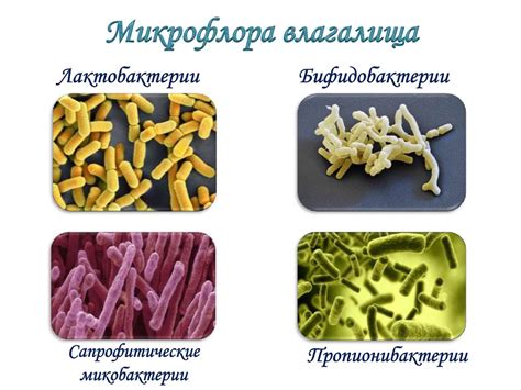 Смешанная скудная микрофлора уретры: