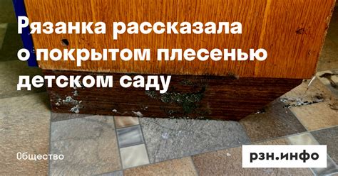 Смысловое значение сновидений о покрытом плесенью продукте