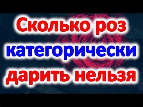 Смысловое значение снов о появлении белой розы