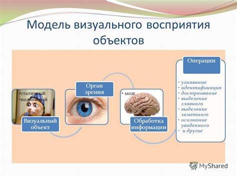 Смысл и осознание увиденного: толща боя и его многообразие