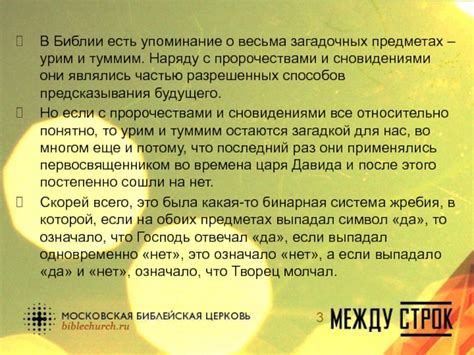 Смысл и предсказания, связанные со сновидениями о непригодной кочанной гнилой белокочанной капусте: разновидности и прогнозы