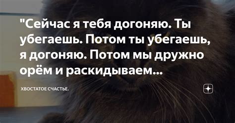 Смысл сна, где ты убегаешь от юного медведя и не можешь ускользнуть