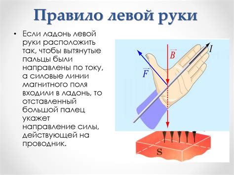 Смысл сна о повреждении левой руки