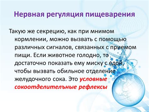 Смысл сновидений, связанных с пищей и приемом пищи