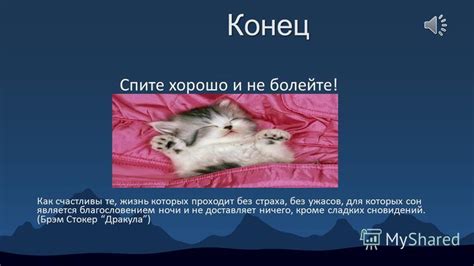 Смысл сновидения, в котором приснилось большое количество котят одного оттенка