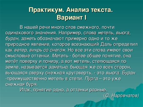 Снежная заметь: определяем понятие и изучаем особенности