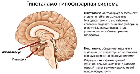 Снижение уровня гормонов