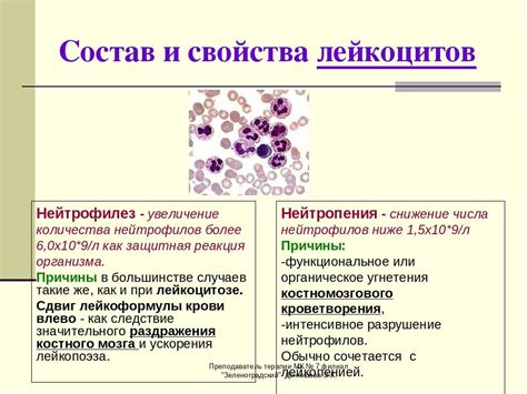 Снижение уровня лейкоцитов: причины и последствия