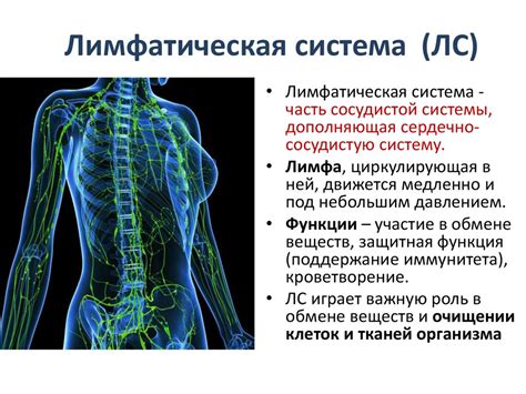 Снижение функции лимфатической системы