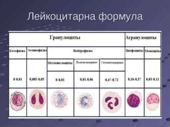 Сниженный гематокрит: причины и последствия