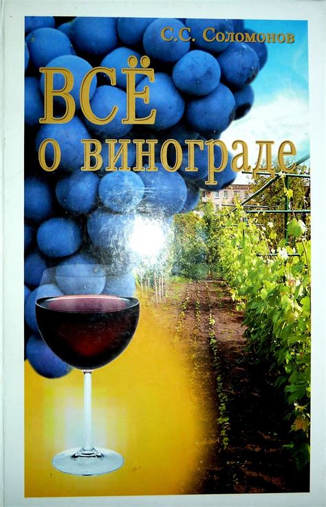 Сновидение о винограде: отражение женской силы и плодородия