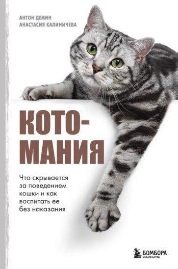 Сновидения и народные предания: что скрывается за символикой съеденной кошки