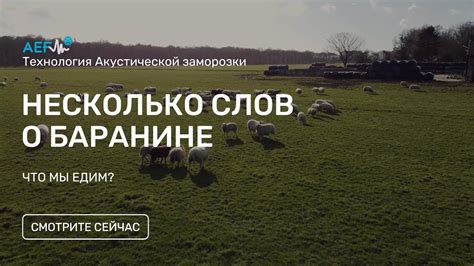 Сновидения о свежей баранине: осмысление символики