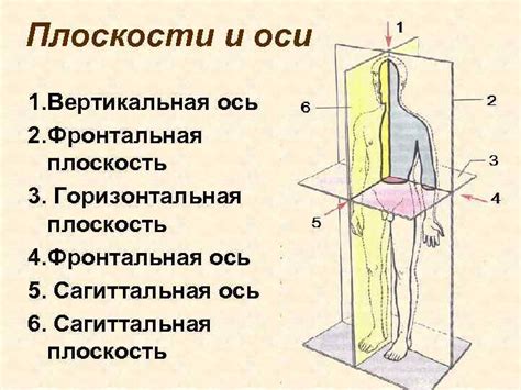 Сновидения с прорехой в верхней плоскости и их связь с подсознанием