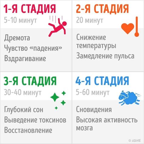 Сны, осуществившиеся ранним утром: реальность подсознания или отражение во сне?