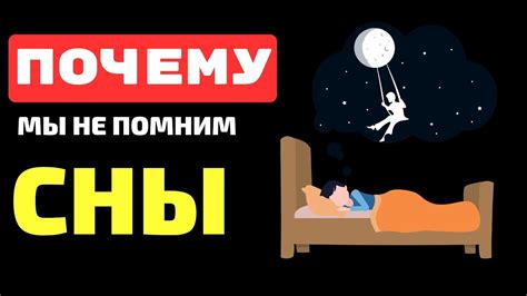 Сны и физическое благополучие: взаимосвязь между ночным отдыхом и здоровьем