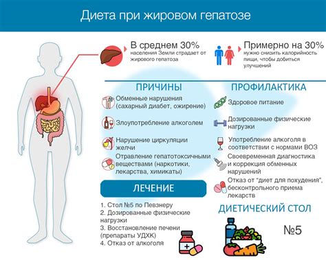 Сны о внутреннем жировом запасе и проблемы с образом жизни