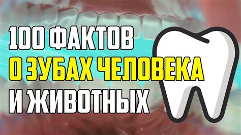 Сны о дефектных зубах: предупреждение о состоянии здоровья или сверхъестественное предвещание?