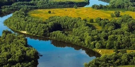 Сны о спокойных водных потоках и их толкование