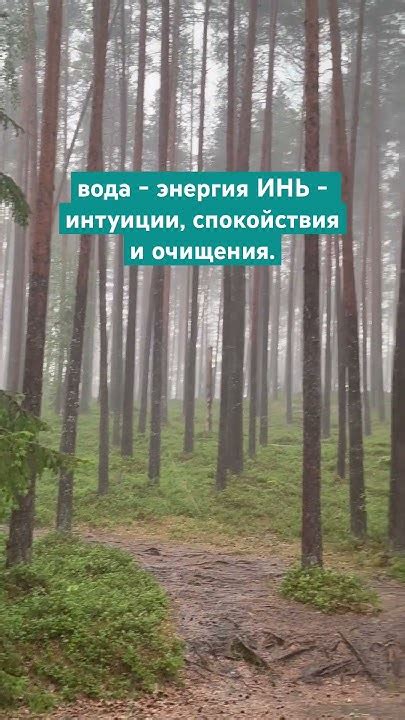 Сны о утопленнике: предвестник беды или символ очищения?