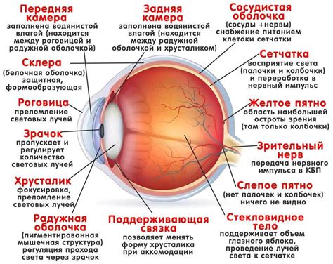 Сны с поврежденной поверхностью глаза: противоречия и недовольство