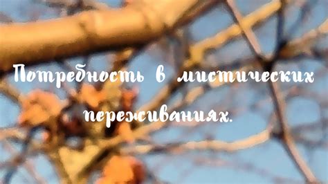 Сны-предсказания: скрывается ли правда в этих мистических переживаниях?