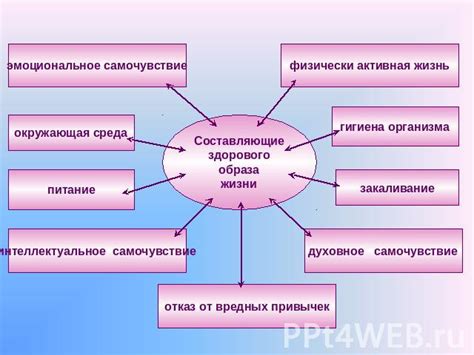 Снятие эмоционального багажа: значимость снов в процессе психологического исцеления