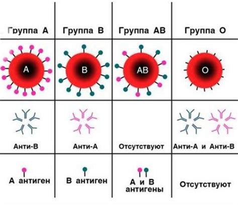 Советы для женщин с отрицательной группой крови