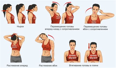 Советы и упражнения для укрепления шеи и затылка