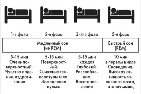 Советы по анализу и пониманию значимости сна с использованием молочного продукта в упаковке для представительниц прекрасного пола