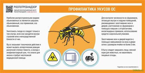 Советы по защите от комаров джоба генацвале