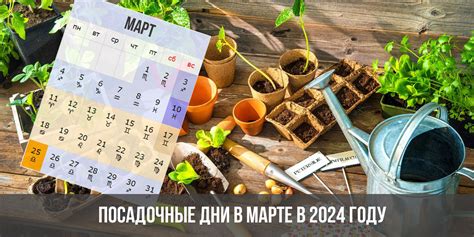 Советы по определению лучшего времени для постинга в марте 2024