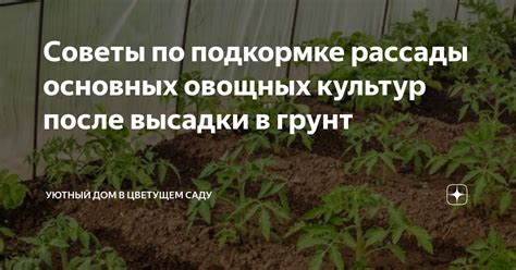 Советы по пормасыванию