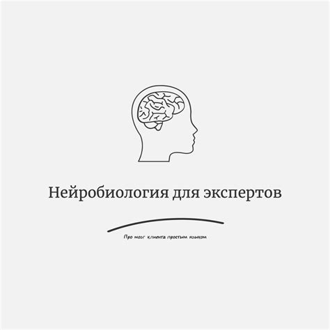 Советы экспертов: анализ и работа с содержанием снов