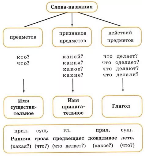 Современная грамматика: понимание частей речи