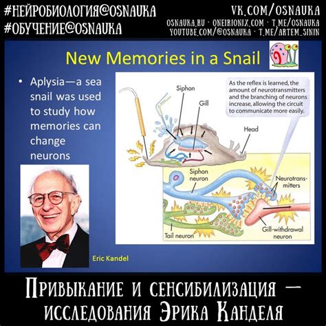 Современные исследования: сновидения о ушедших и их воздействие на подсознание