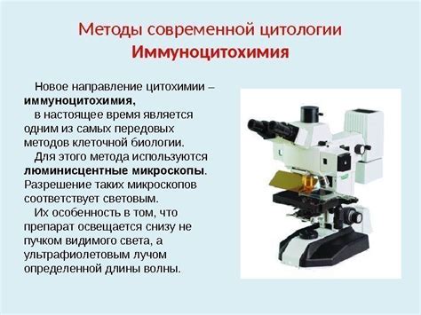 Современные методы исследования: что сообщают ученые о значении сновидений о скелете?