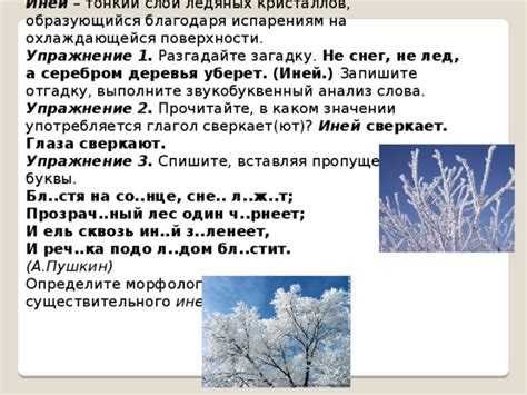 Соединение противоположностей: значение смешения плавной влаги и ледяных кристаллов