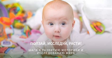 Создайте безопасное место для детеныша