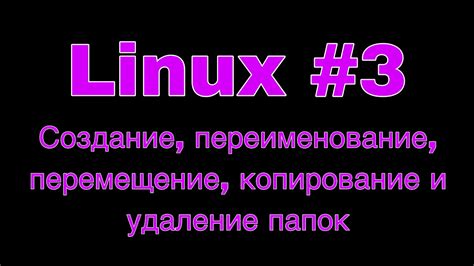 Создание и переименование папок