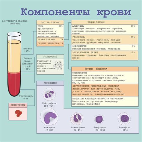 Соленая кровь: что это значит