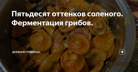 Соление еды: что это такое?