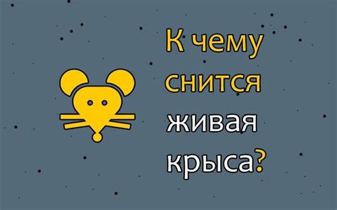 Сон, в котором мужчина видит матрас: что это означает?