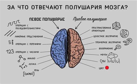 Сон, где происходит отделение части уша: известные случаи и различные интерпретации