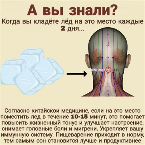 Сон: процесс восстановления и оздоровления организма