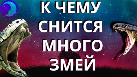 Сонник: к чему снится видеть змей во сне мужчине?