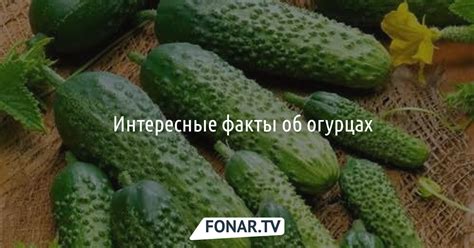 Сон об огурцах и их ботве: пророческое значение и предупреждения