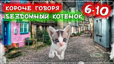 Сон о бездомном котенке и одиночестве